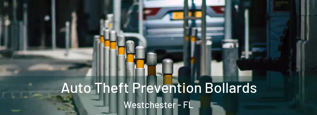 Auto Theft Prevention Bollards Westchester - FL