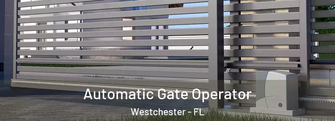  Automatic Gate Operator Westchester - FL