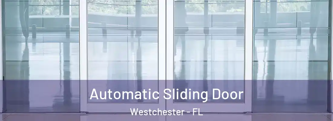  Automatic Sliding Door Westchester - FL