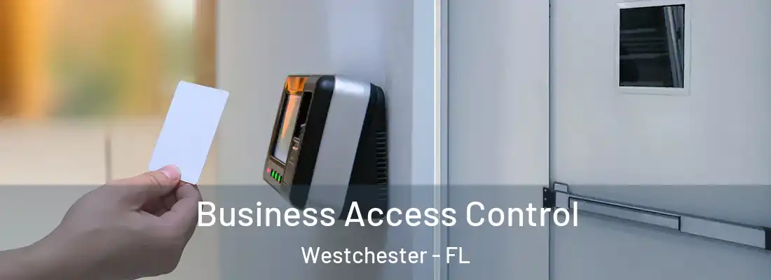  Business Access Control Westchester - FL