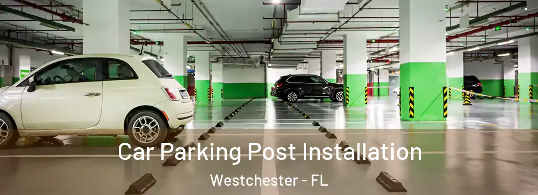  Car Parking Post Installation Westchester - FL