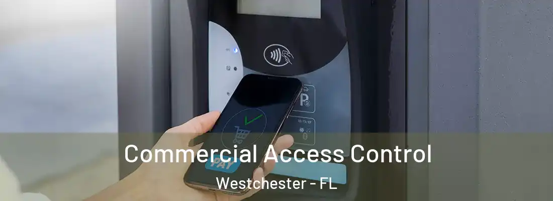  Commercial Access Control Westchester - FL