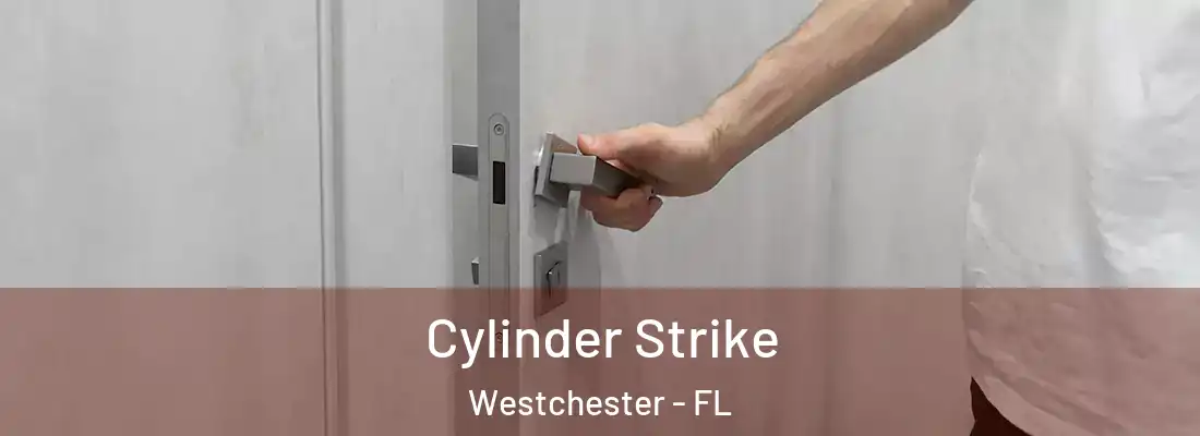  Cylinder Strike Westchester - FL