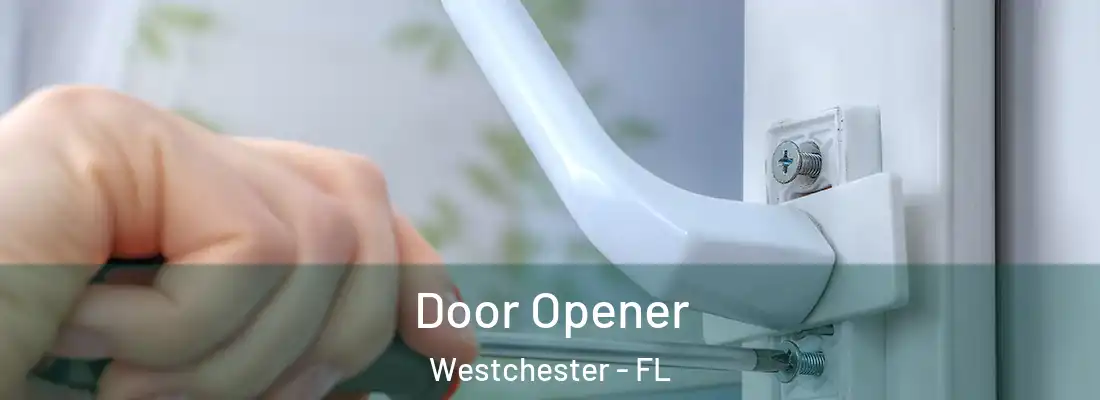  Door Opener Westchester - FL