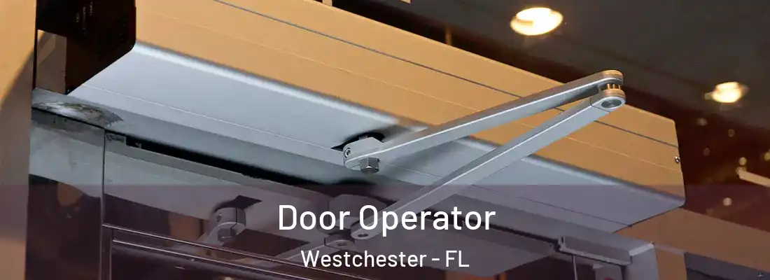  Door Operator Westchester - FL