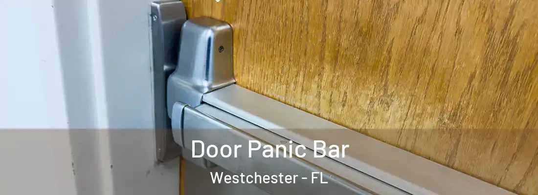  Door Panic Bar Westchester - FL