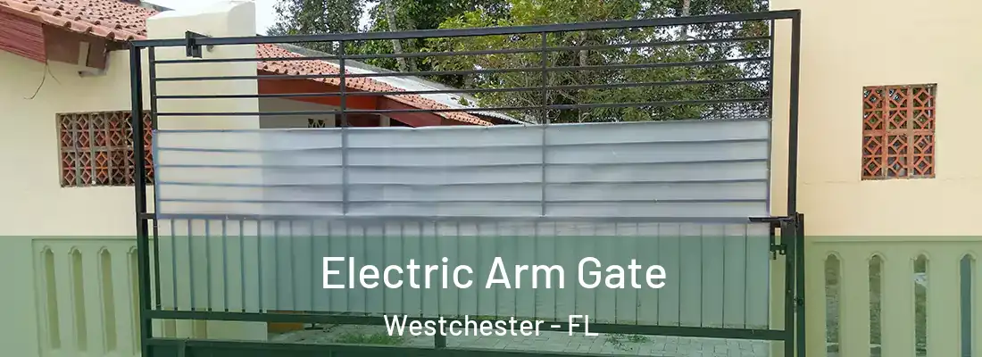  Electric Arm Gate Westchester - FL