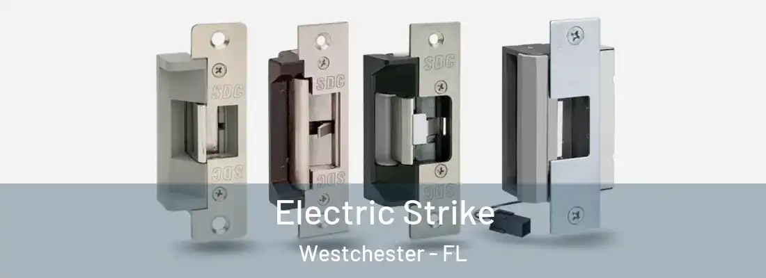  Electric Strike Westchester - FL