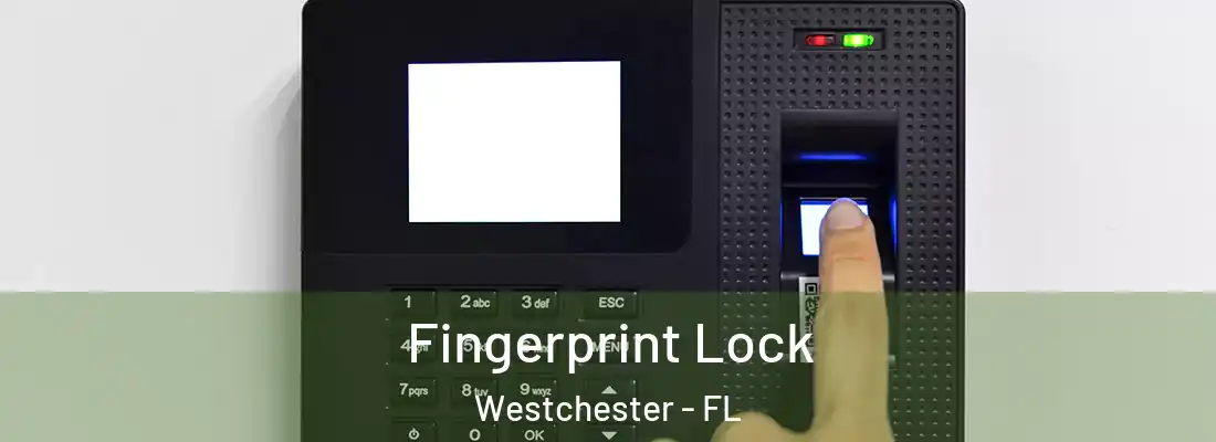  Fingerprint Lock Westchester - FL