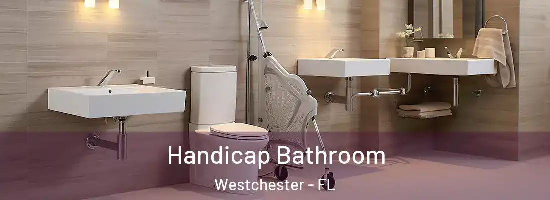  Handicap Bathroom Westchester - FL