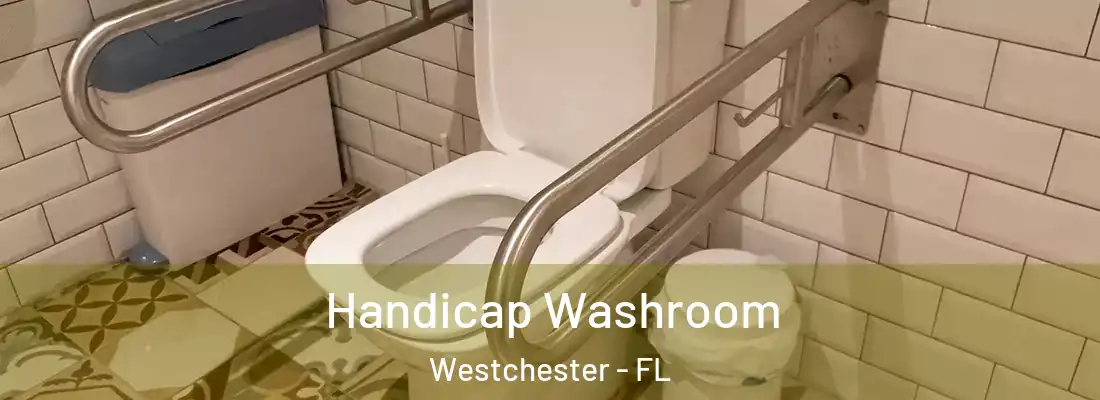  Handicap Washroom Westchester - FL