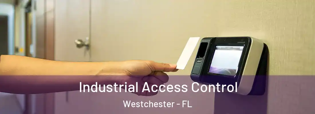 Industrial Access Control Westchester - FL