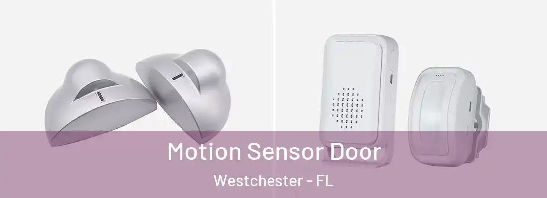  Motion Sensor Door Westchester - FL