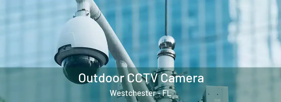  Outdoor CCTV Camera Westchester - FL