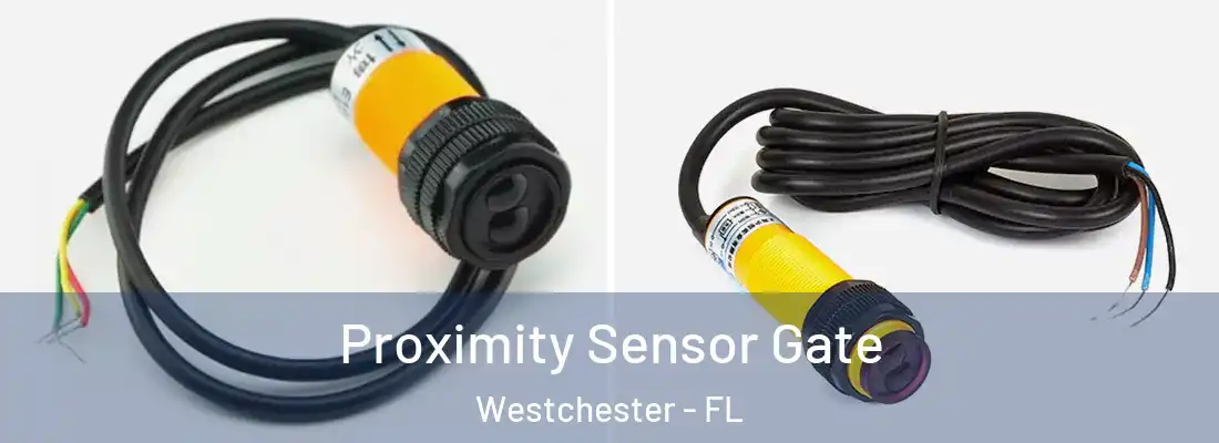 Proximity Sensor Gate Westchester - FL