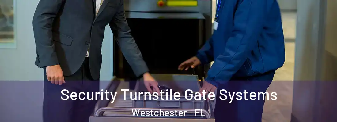 Security Turnstile Gate Systems Westchester - FL