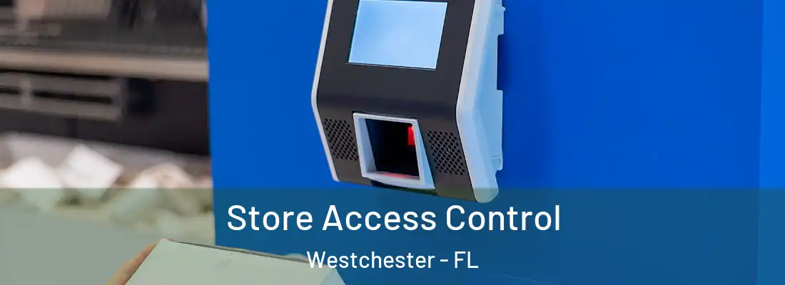 Store Access Control Westchester - FL
