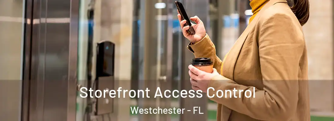  Storefront Access Control Westchester - FL